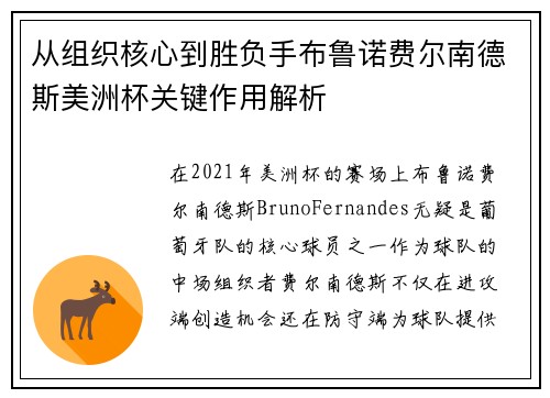 从组织核心到胜负手布鲁诺费尔南德斯美洲杯关键作用解析